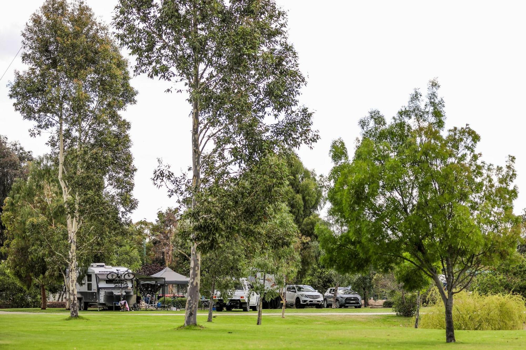 Discovery Parks - Moama Waters Dış mekan fotoğraf