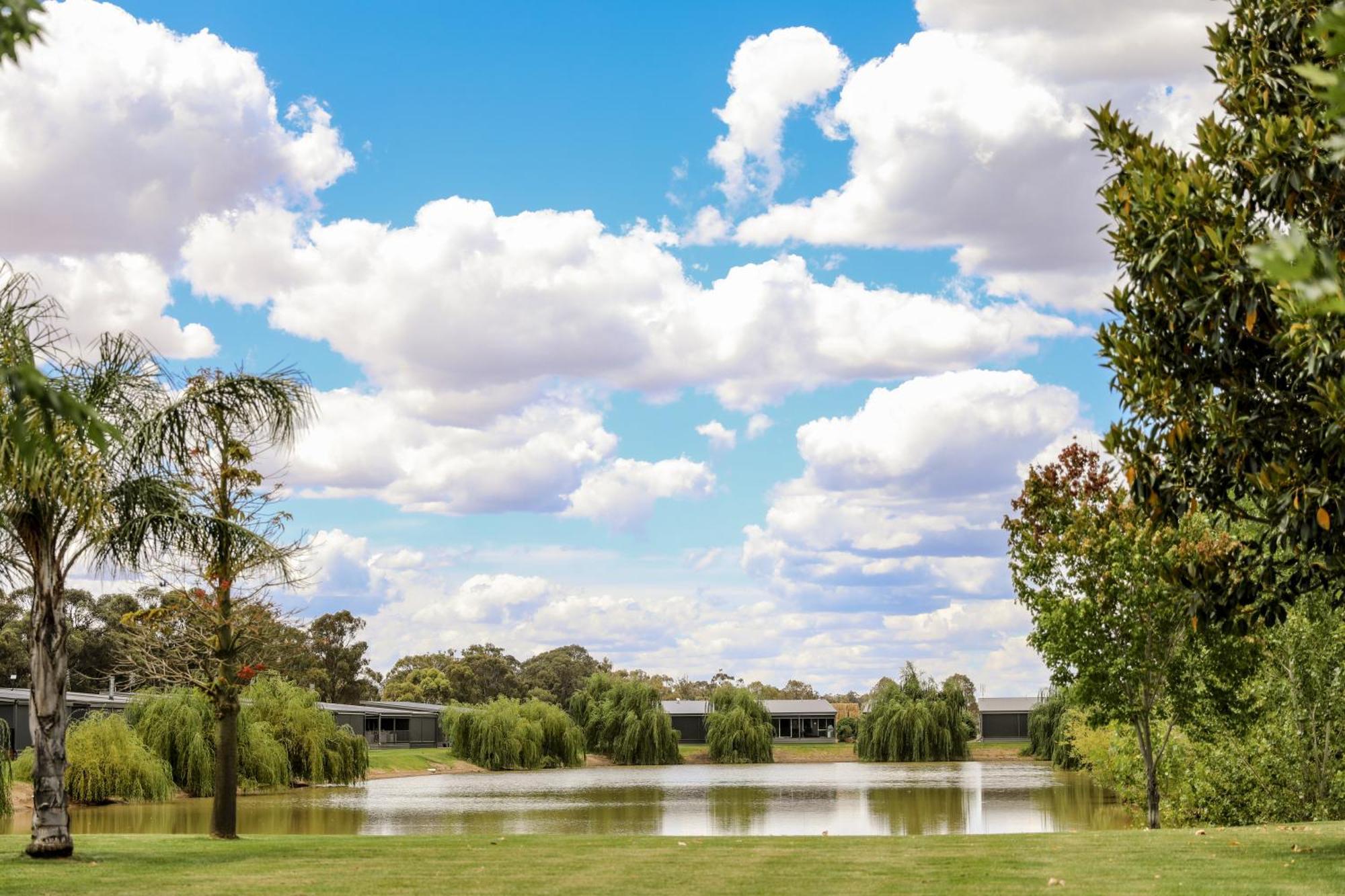 Discovery Parks - Moama Waters Dış mekan fotoğraf